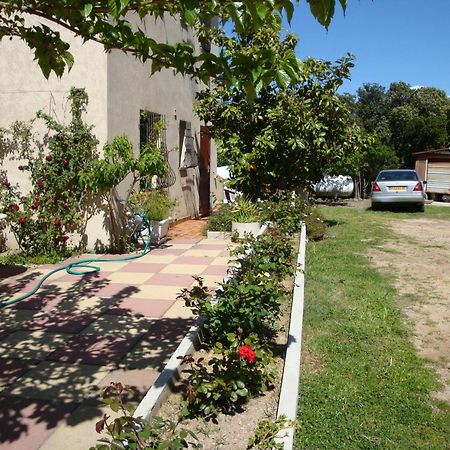 Sole E Mare Galéria Exterior foto